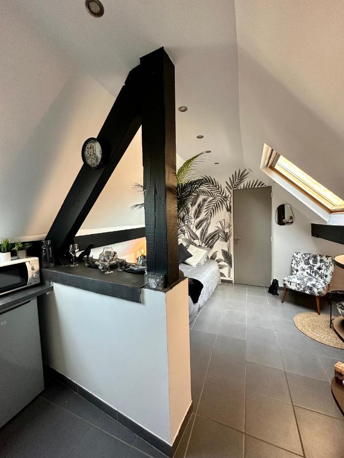 Studio Chaleureux Hypercentre Amiens Kültér fotó